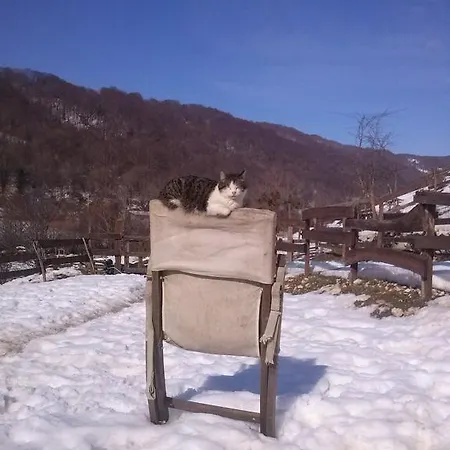 Gospodarstwo agroturystyczne La Fattoria Di Morgana *