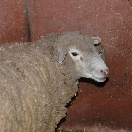 La Fattoria Di Morgana *