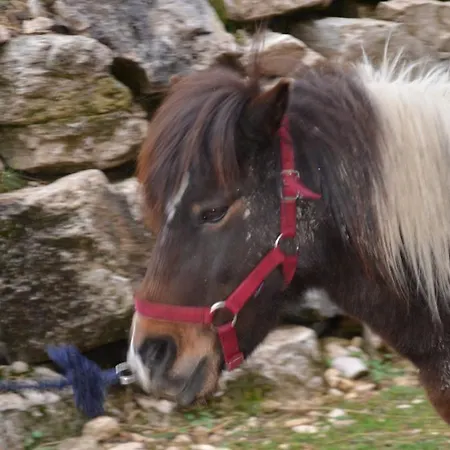 Gospodarstwo agroturystyczne La Fattoria Di Morgana *