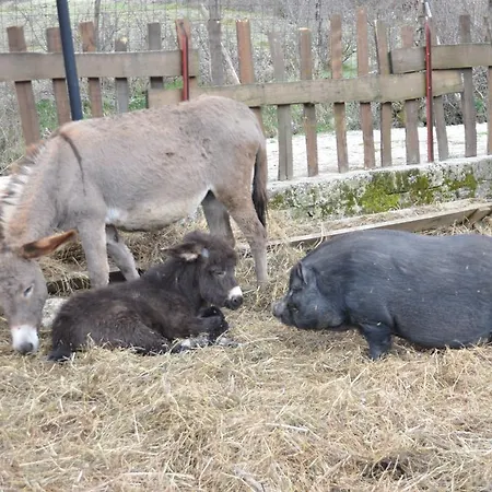 Farm stay La Fattoria Di Morgana *