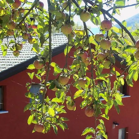 La Fattoria Di Morgana Opi