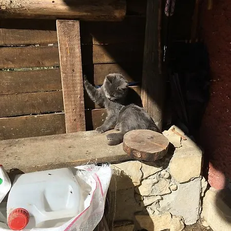 La Fattoria Di Morgana オーピ