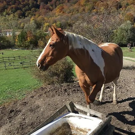 La Fattoria Di Morgana