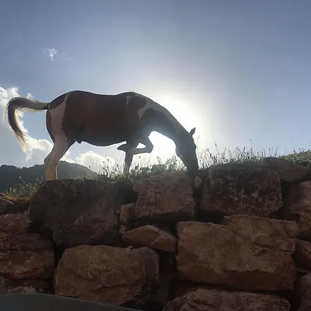 La Fattoria Di Morgana ファームステイ オーピ