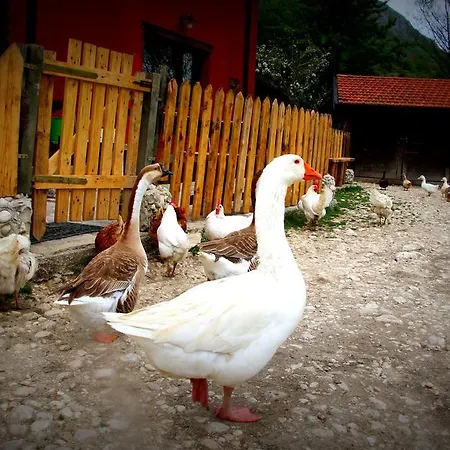 La Fattoria Di Morgana