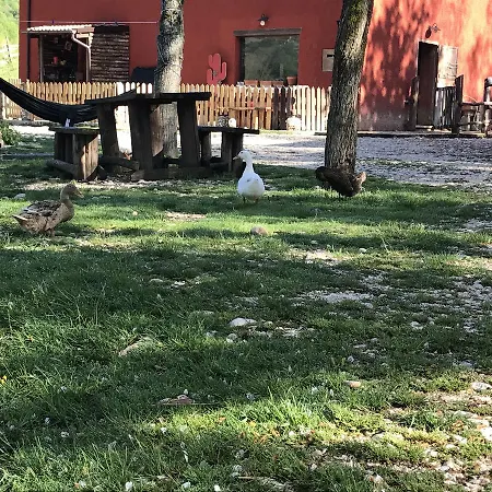 Farm stay La Fattoria Di Morgana *