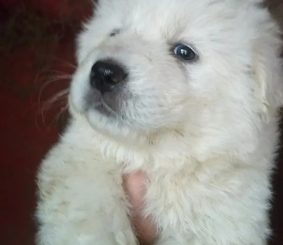 La Fattoria Di Morgana *