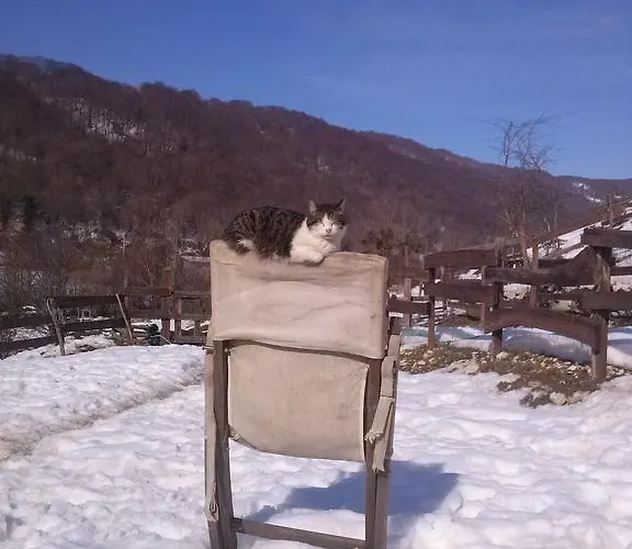 Feriegård La Fattoria Di Morgana *