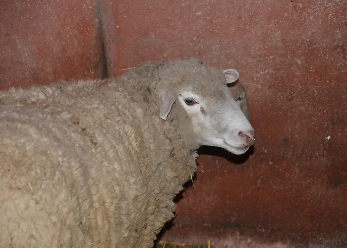 La Fattoria Di Morgana *