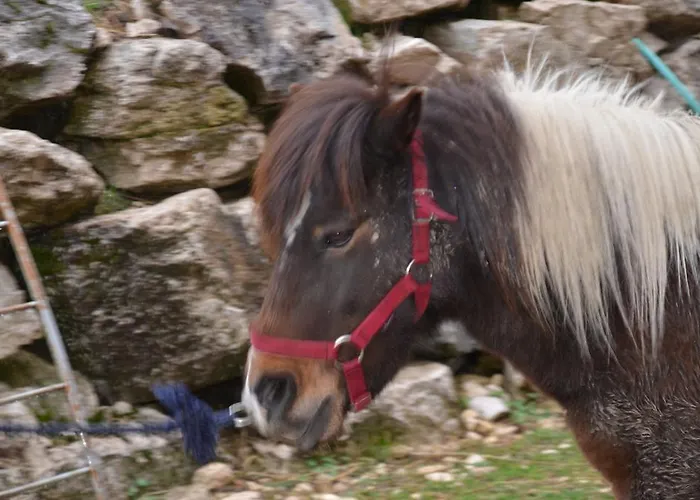 Feriegård La Fattoria Di Morgana *