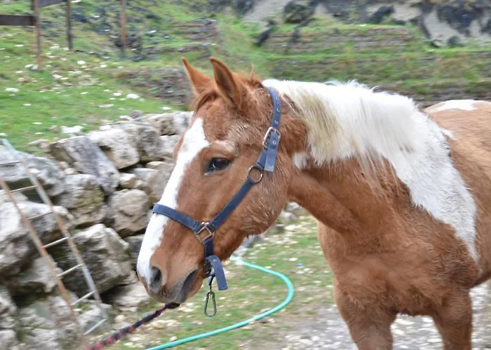 La Fattoria Di Morgana *
