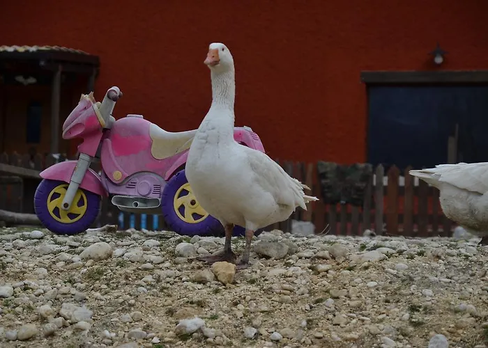 Feriegård La Fattoria Di Morgana Opi