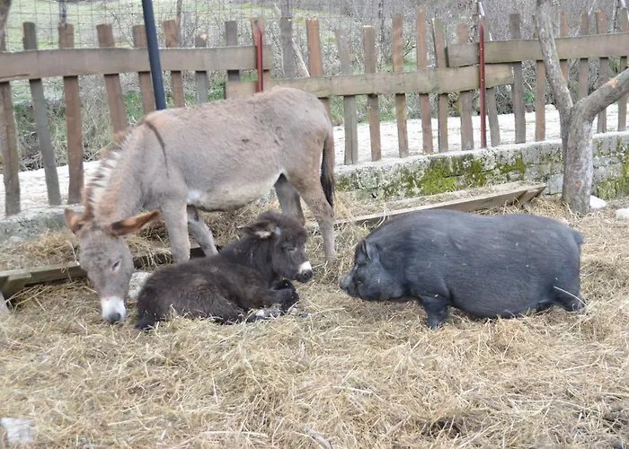 Farma La Fattoria Di Morgana *