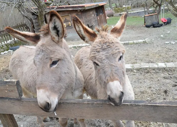 La Fattoria Di Morgana