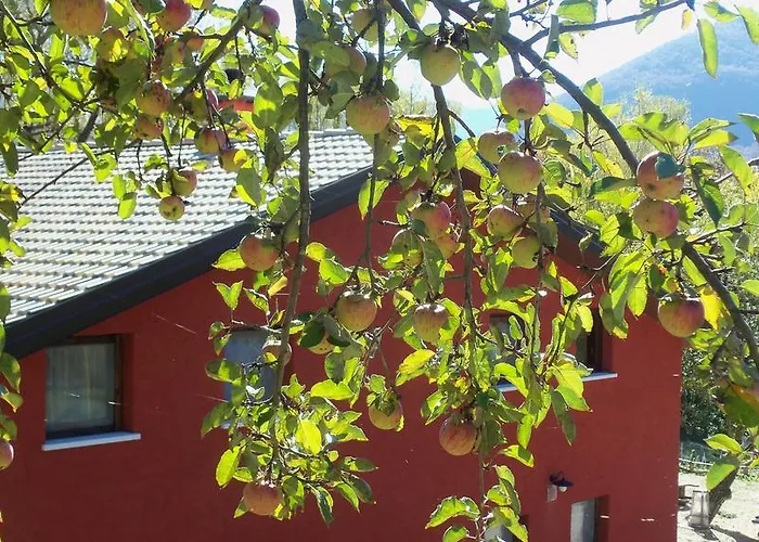 La Fattoria Di Morgana Opi