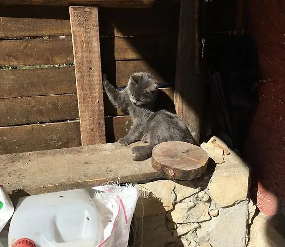 La Fattoria Di Morgana Opi