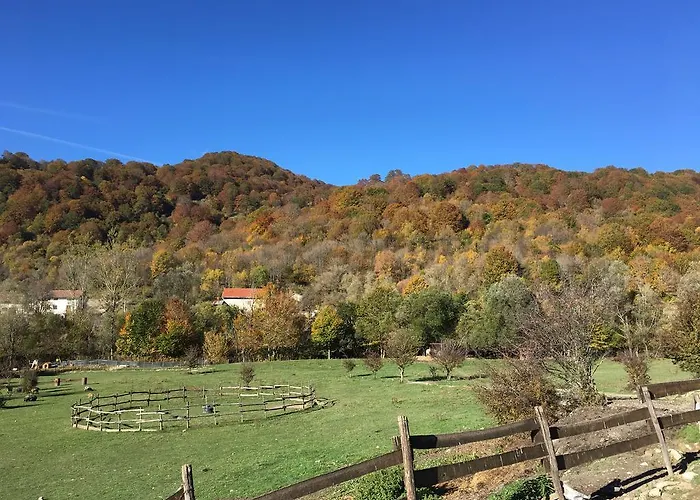 La Fattoria Di Morgana Opi