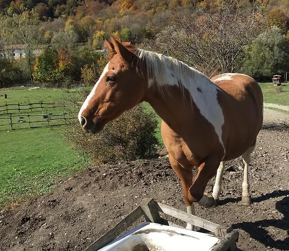 La Fattoria Di Morgana