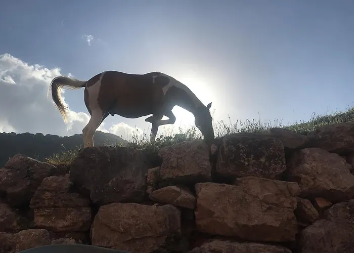 La Fattoria Di Morgana Feriegård Opi