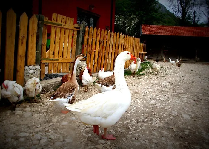 La Fattoria Di Morgana